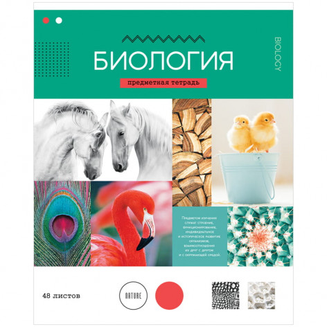 Тетрадь предметная 48л. ArtSpace "В мире науки" - Биология, ВД-лак Тетрадь предметная 48л. ArtSpace "В мире науки" - Биология, ВД-лак
