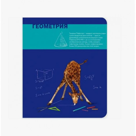 Тетрадь 48л., А5, «Геометрия»
