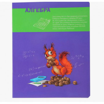 Тетрадь предметная 48л., А5, "Алгебра"